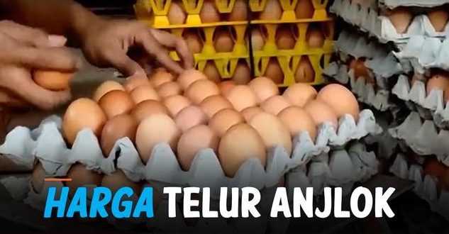 Harga Telur Anjlok, Kemendag Pastikan Sudah Kembali Normal
