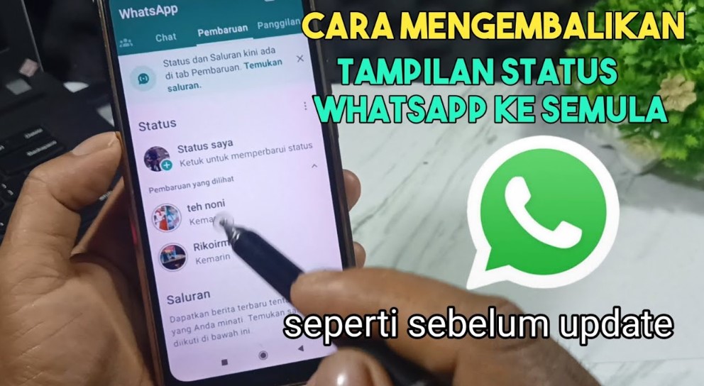 "Cara Mengembalikan Tampilan WhatsApp ke Status Individual"